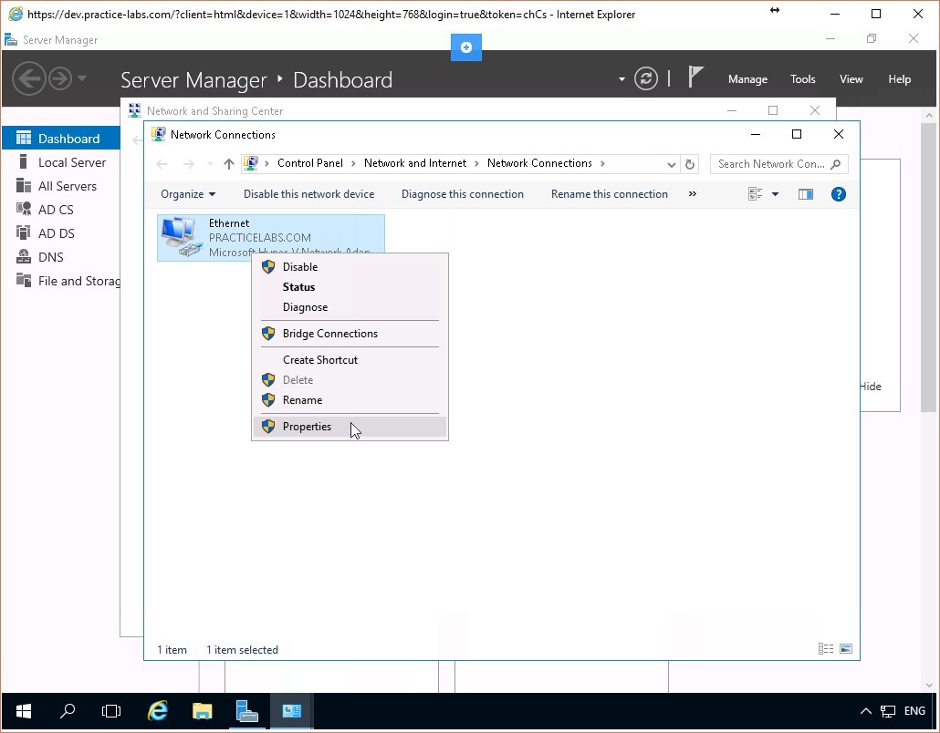 Figure 1.3 Screenshot of the PLABDC01 desktop
